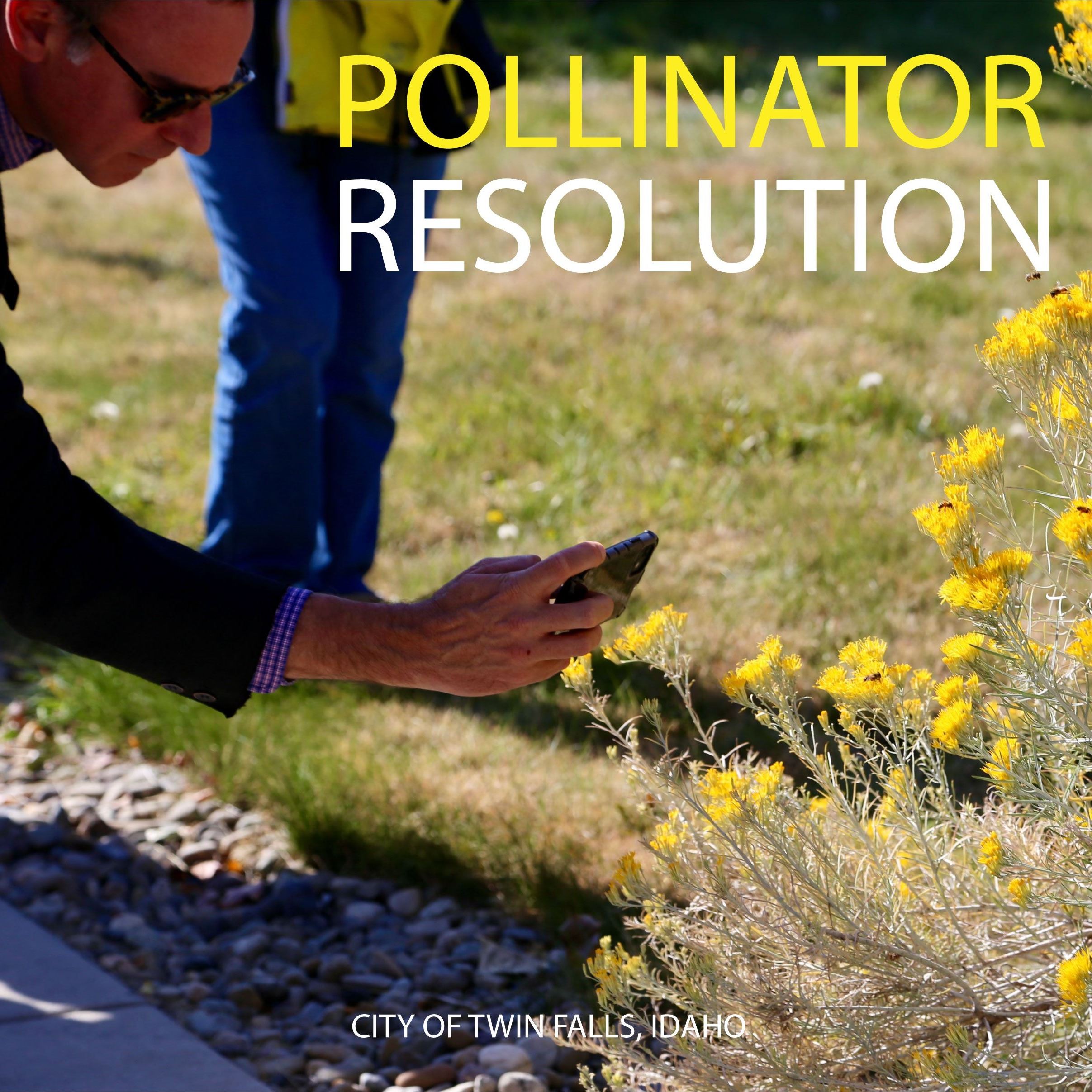 Pollinator Resolution